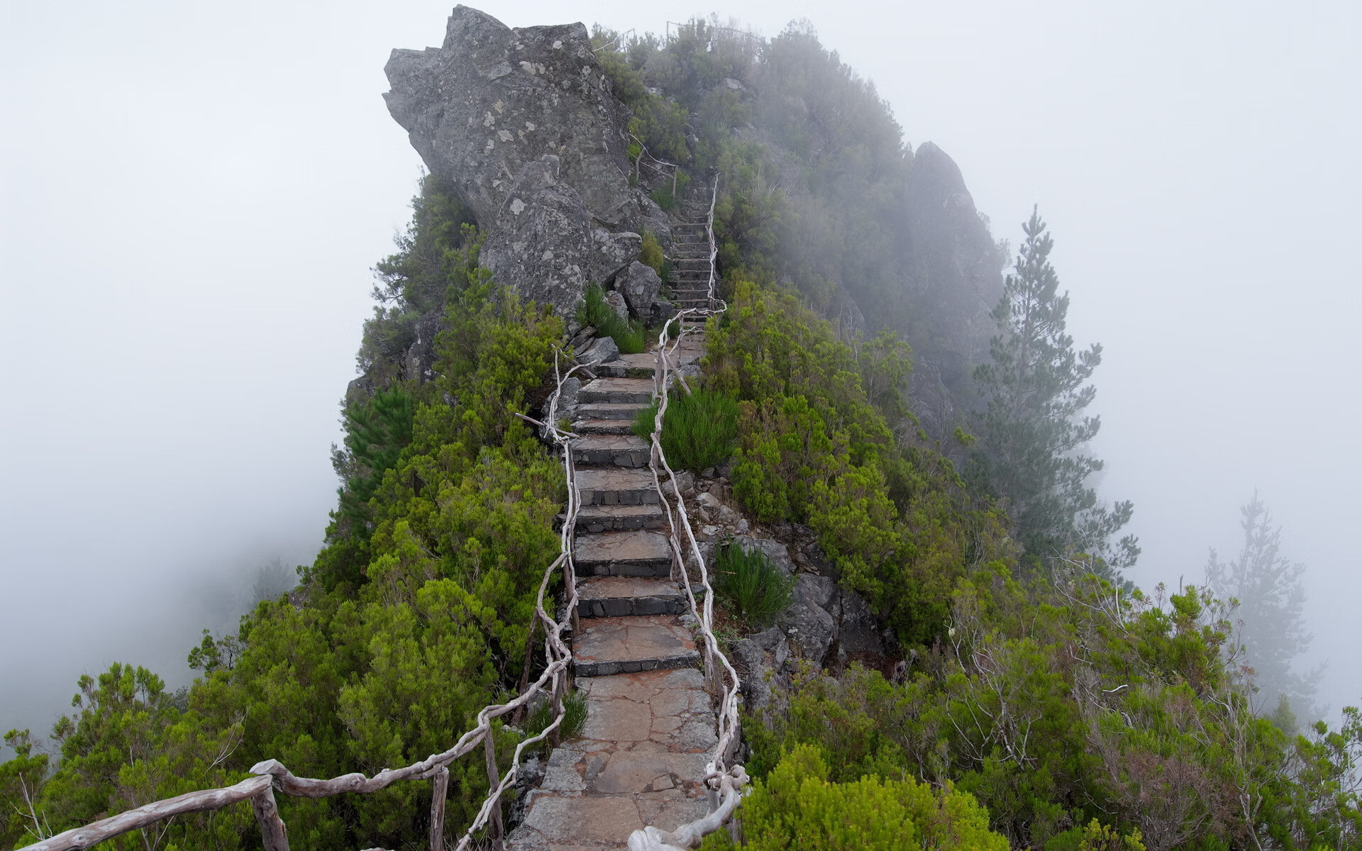 太阳能板公司排名（排前十太阳能板厂家）